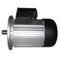 GH-45  MOTOR